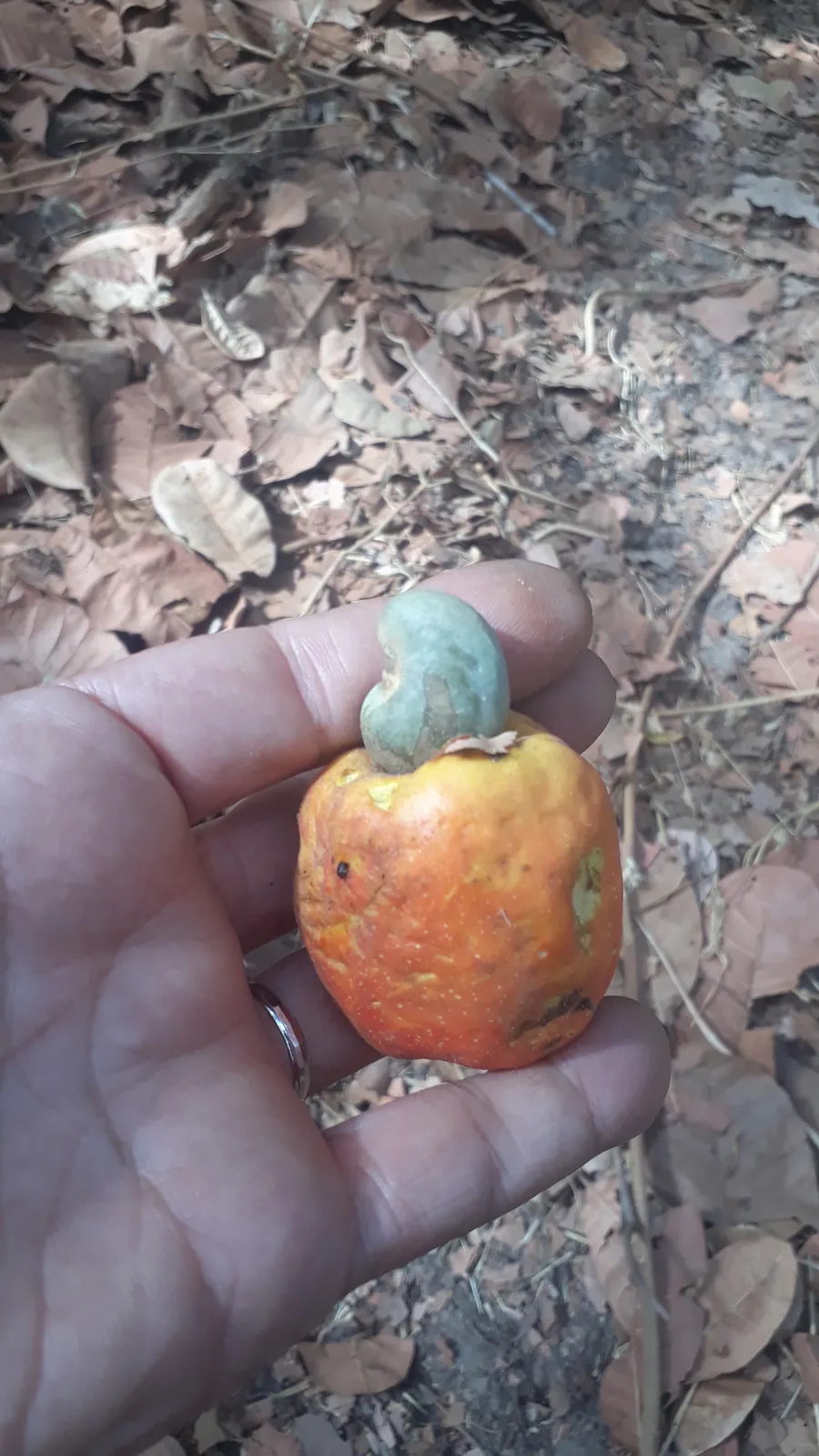 Anno 2025