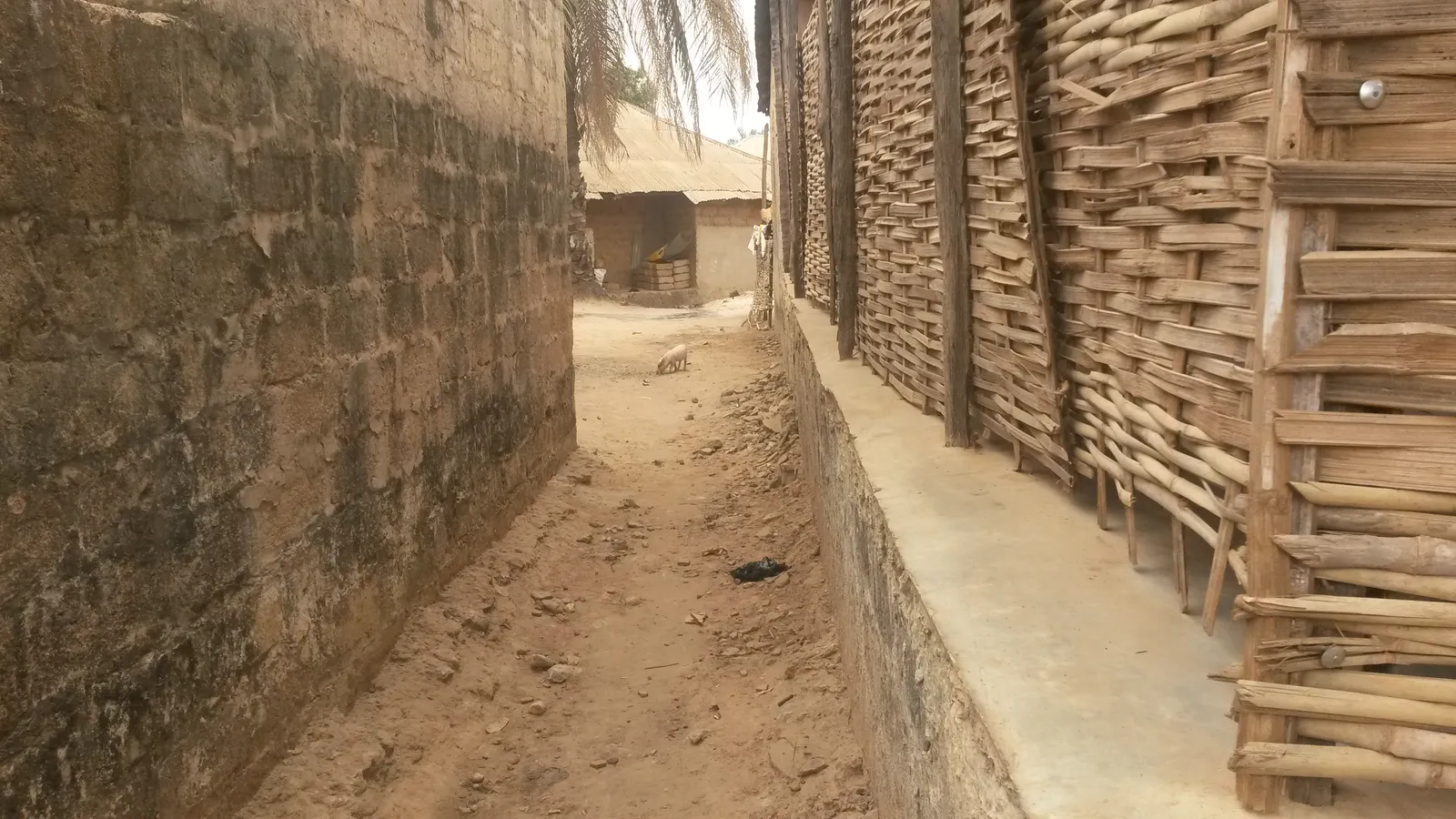 Capire la Guinea-Bissau per costruire bene