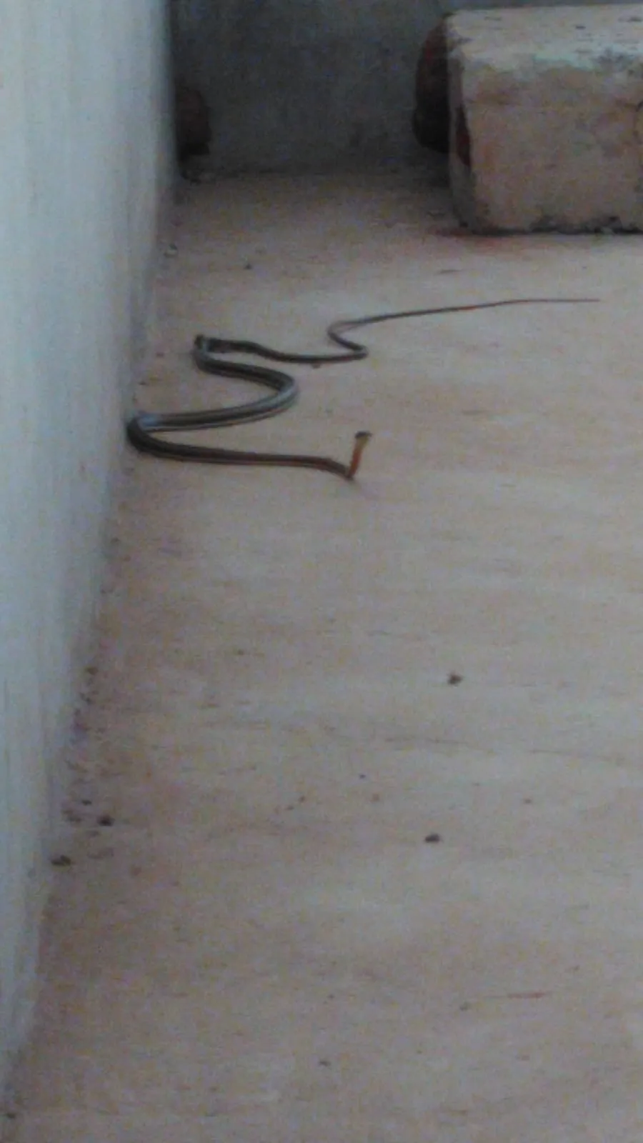 Sede attuale